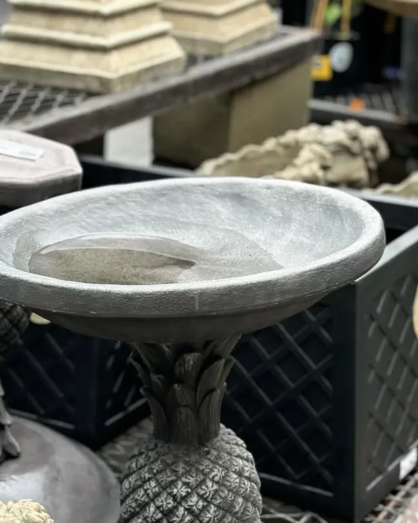 A simple stone birdbath provides a source of water for birds and adds a classic decorative element to the garden.
