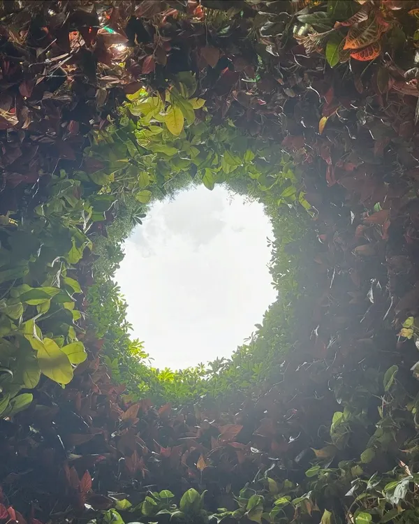 A view looking up from inside the "Plastreen" installation. The interior is a living green wall, opening to the sky to make people think about nature and positive change.