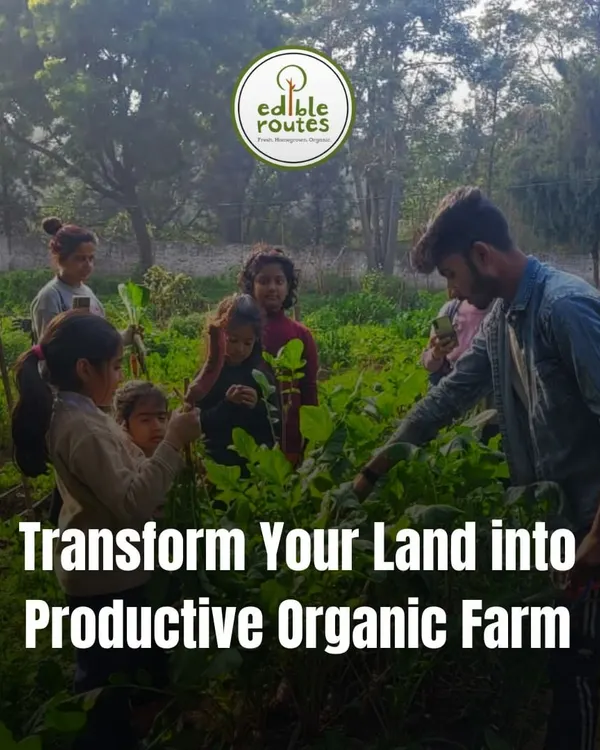 My goal is to help you transform your land into a productive organic farm. I guide you through every step, from planning and soil preparation to planting and harvesting.