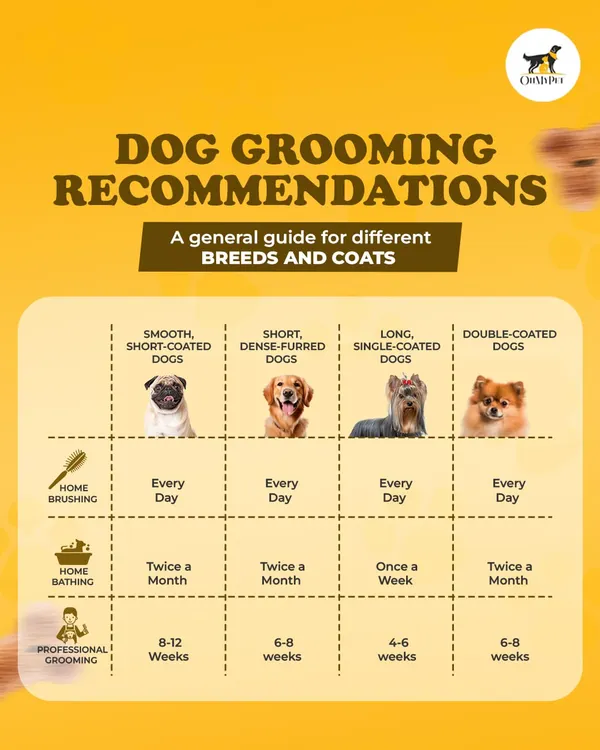 Every dog is different, and so is their grooming routine. This guide gives you our general recommendations for home brushing, bathing, and professional grooming based on your dog's coat type.