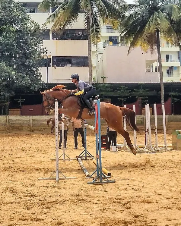 A rider and horse perfectly synchronized mid-air over a vertical jump. This is the result of dedicated training and a strong partnership.