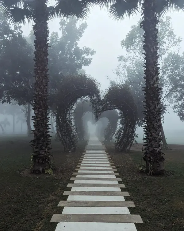 A path leading through a heart-shaped archway made of twigs on a foggy winter morning in Gurgaon. The mist creates a surreal, romantic, and mysterious atmosphere.