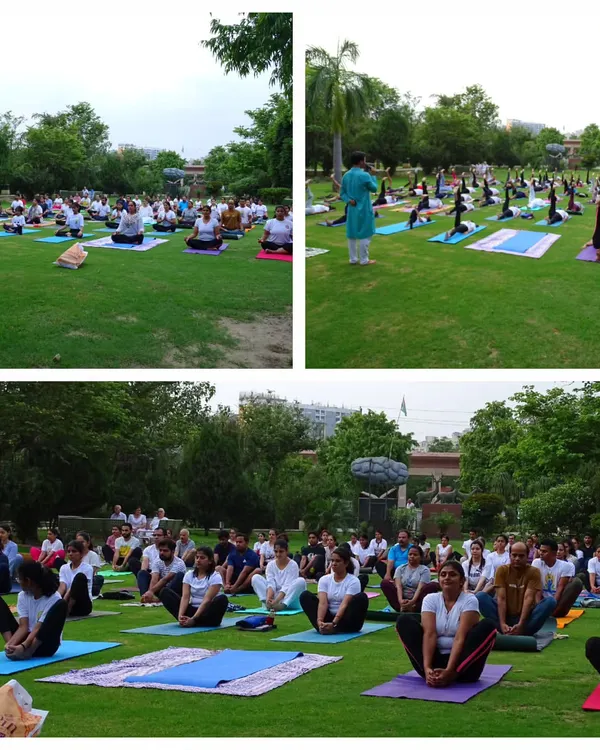 Leading a large group in an outdoor setting is always a joyful experience. These images show participants of all ages and abilities moving together, from seated postures to more active asanas, embodying the inclusive nature of yoga.