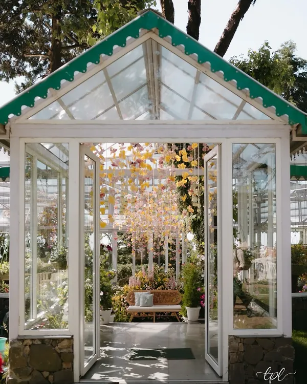 The entrance to a magical Haldi ceremony in a Mussoorie greenhouse. The glass structure, filled with a canopy of hanging flowers, created a breathtaking first impression for guests.