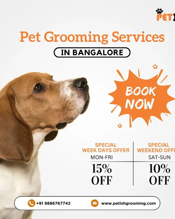 Take advantage of my special offers! I provide a 15% discount on weekdays (Mon-Fri) and a 10% discount on weekends (Sat-Sun).