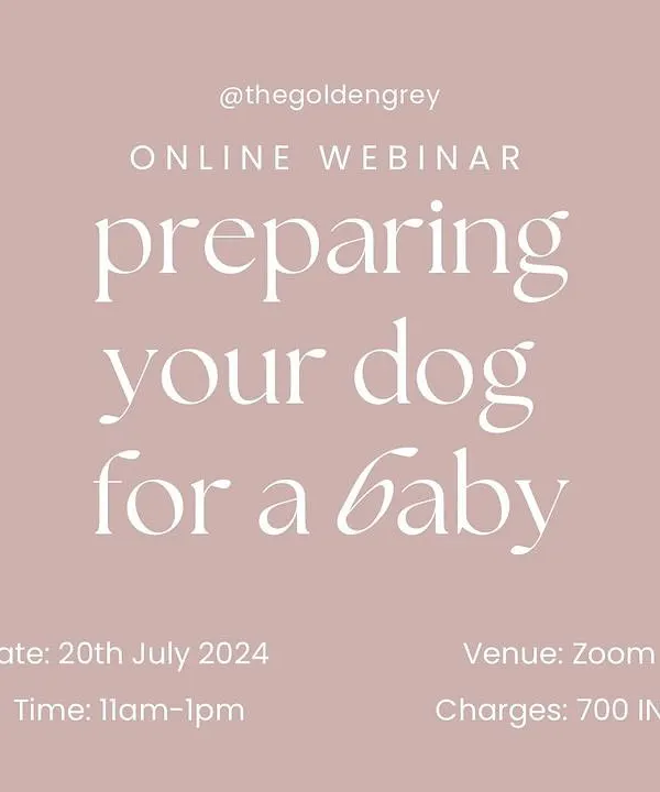 This is my most popular webinar, designed specifically for expecting parents. We cover the essential steps to prepare your dog for a new baby, ensuring a smooth and safe transition for your growing family.