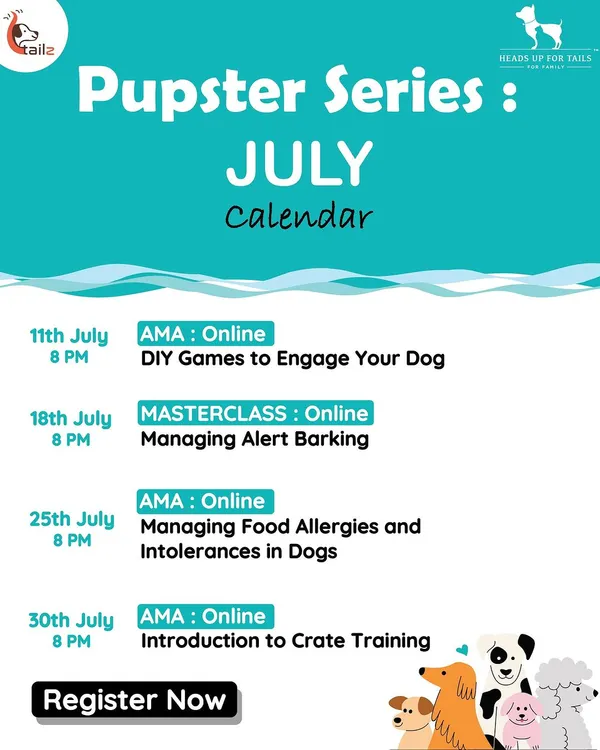 Here is a sample calendar of my online events. I regularly host workshops and 'Ask Me Anything' sessions on topics like DIY games, managing barking, food allergies, and crate training, often in partnership with great brands like Heads Up For Tails.