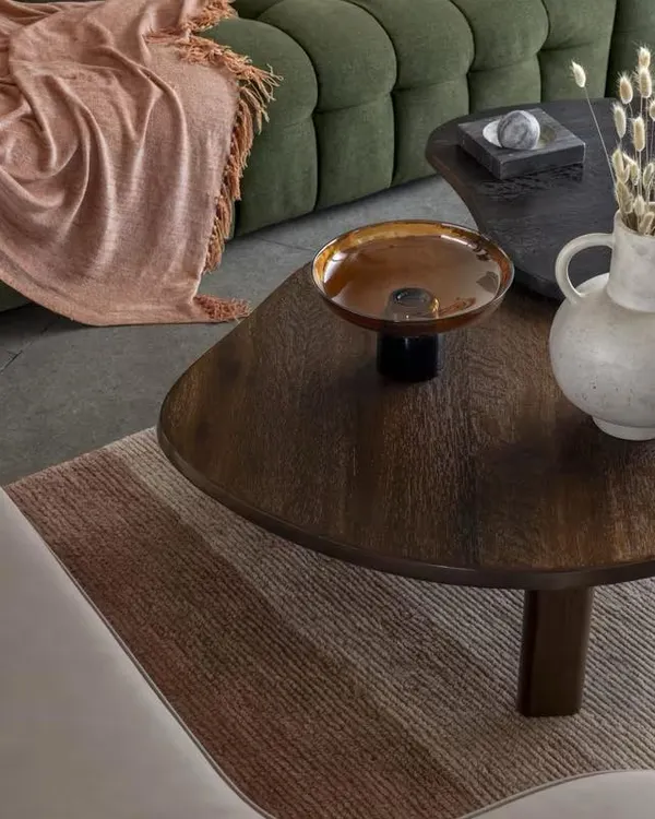 A close-up on the details of a Mumbai apartment, where an organic-shaped wooden coffee table and earthy textiles create a tactile and grounded living space.