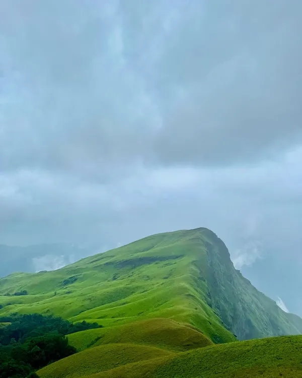 This is the view that makes you fall in love with the Western Ghats. We're trekking through the rolling green hills of Netravati Peak, where the clouds feel close enough to touch. It's a sight that recharges your soul.