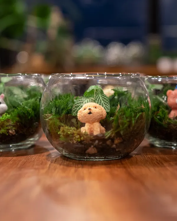 A collection of my miniature moss gardens, each featuring an adorable dog figurine. These are a perfect, playful gift for any dog lover and nature enthusiast.
