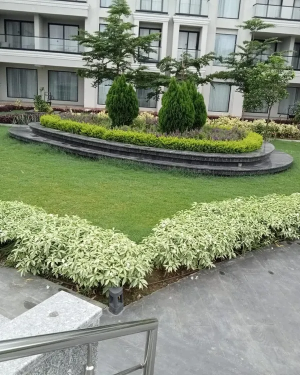 Landscaping for a commercial building or hotel, featuring a raised, curved garden bed with a mix of shrubs and trees. This design adds visual interest and a touch of green to the building's facade.