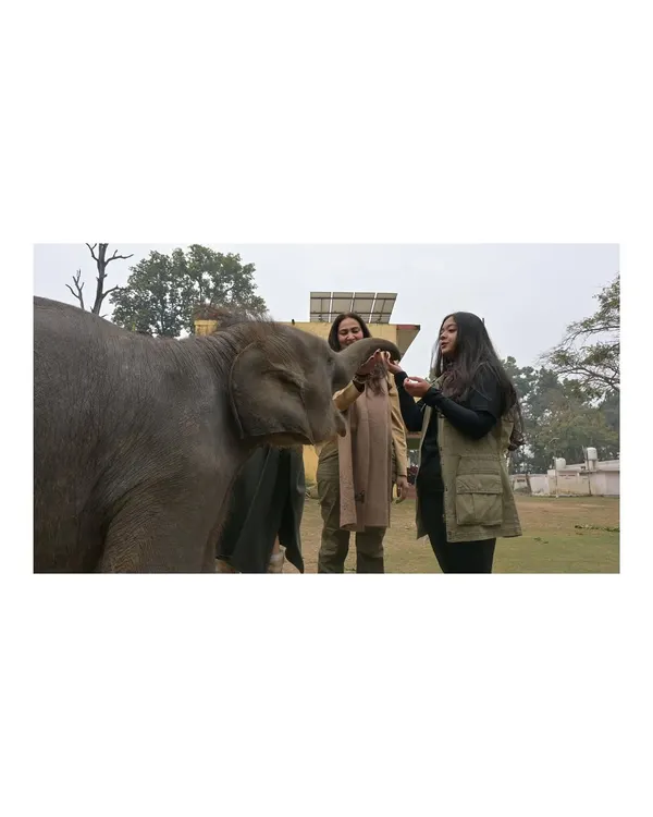 A gentle moment with Gauri, a rescued baby elephant in Dudhwa Tiger Reserve. Her innocence and trust were incredibly moving.
