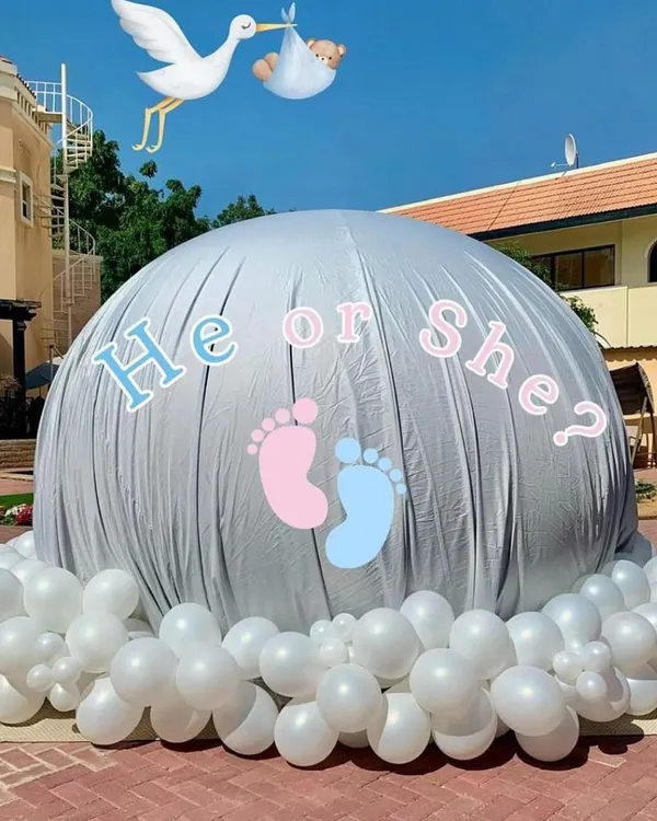 My signature bubble house gender reveal setup. The large inflatable dome is covered until the big moment, building suspense for the parents-to-be and their guests.