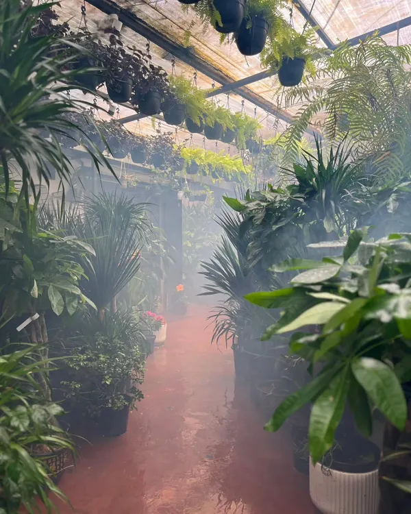 This is the Plant People experience. Come over and lose yourself in our stunning greens and wide collection of pots. Our misty, jungle-like aisles offer the best plant buying experience in the city.