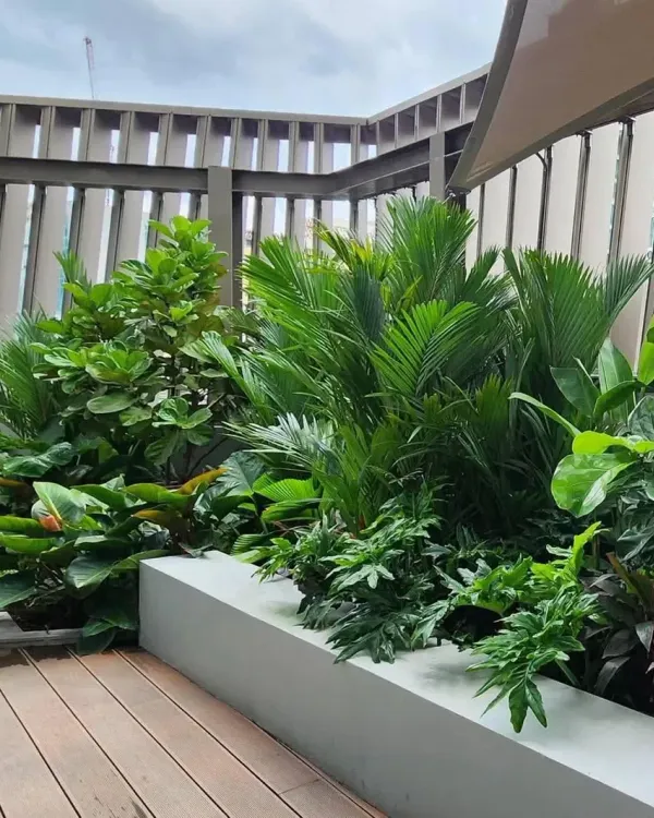 A rooftop garden using raised planters filled with a variety of lush, leafy plants. This method allows for complex planting on surfaces where in-ground planting isn't possible.