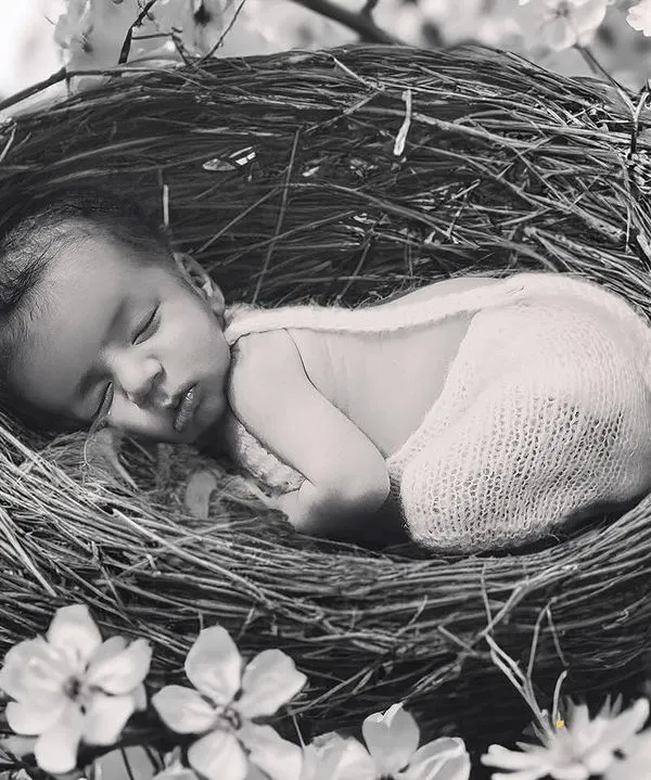 A truly unique and artistic newborn photo. This baby is curled up peacefully in a bird's nest, surrounded by delicate white blossoms. This black and white image has a timeless, natural feel that I absolutely love.