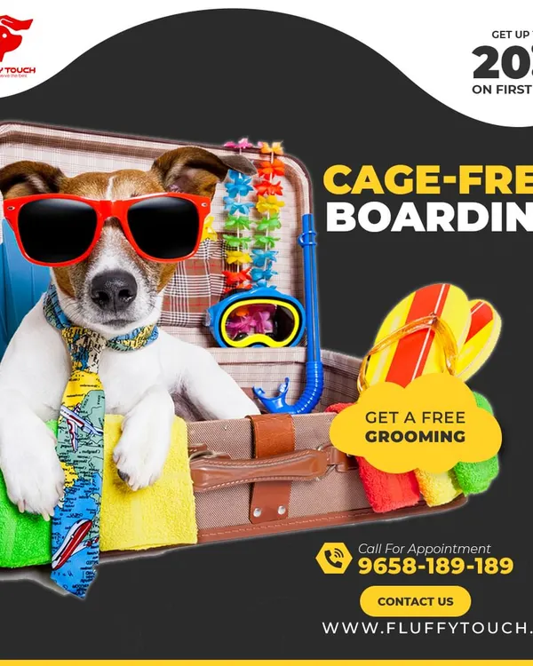 Going on a vacation? We've got your back! Our cage-free pet boarding ensures your furry friend has a blast in a safe, home-like environment while you relax. Plus, first-time boarders get 20% off and a complimentary grooming session!