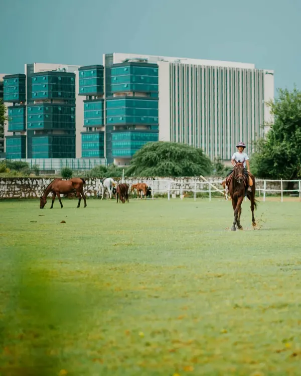 A rider enjoys our expansive green field, with horses grazing peacefully against the backdrop of the Gurugram skyline. It's the best of both worlds.
