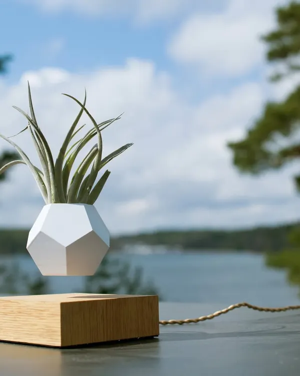 Our FLYTE Lyfe Planter levitates and rotates gently, giving your air plant 360-degree sun exposure. This piece combines nature with technology, creating a truly magical focal point for any modern space.