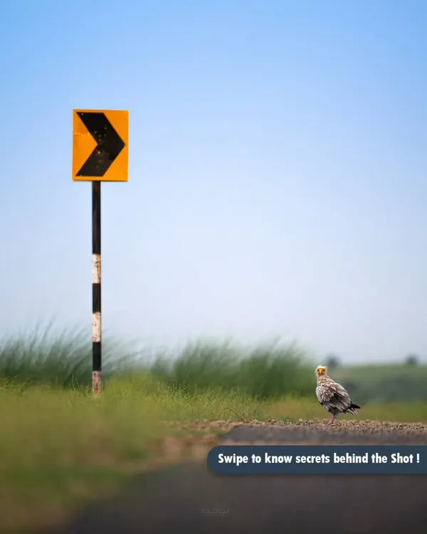 This is the first post in my "Secrets Behind the Shots" series. I'll take you behind the scenes to show the challenges, techniques, and stories that go into creating a single photograph.