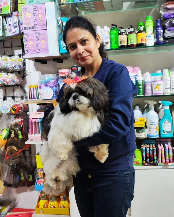 A beautiful Shih Tzu with a cute bow, looking picture perfect after her grooming session. Her owner is holding her in our store, surrounded by shelves of pet care products.