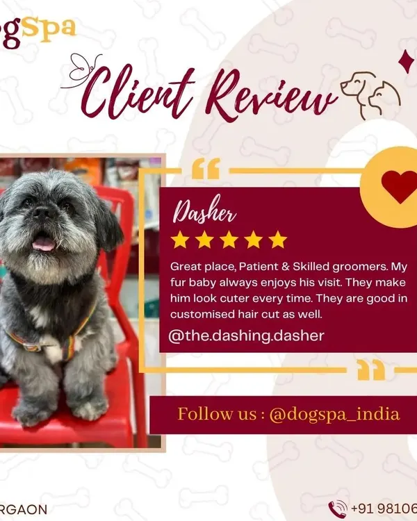 Dasher's family left this wonderful review, and I couldn't be happier. Knowing that my clients appreciate my patient approach and customized haircuts means the world to me.