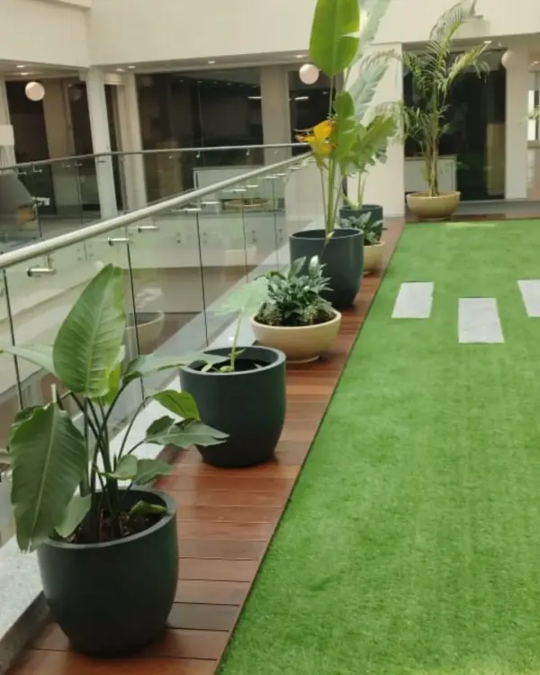 We designed this green corridor for a corporate office, using artificial turf and a series of large planters with Bird of Paradise and other foliage plants to create a natural and relaxing walkway.