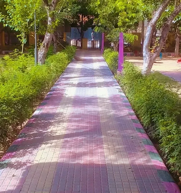 A colourful paved walkway at Mehandi Park in Gurgaon, a project I maintain. The path is lined with dense hedges, providing a pleasant and shaded route for walkers.