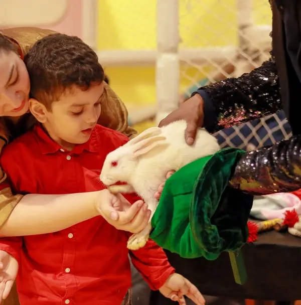 The wonder of magic. A child gets to interact with a real rabbit during our magic show, a gentle and awe-inspiring experience they will never forget.