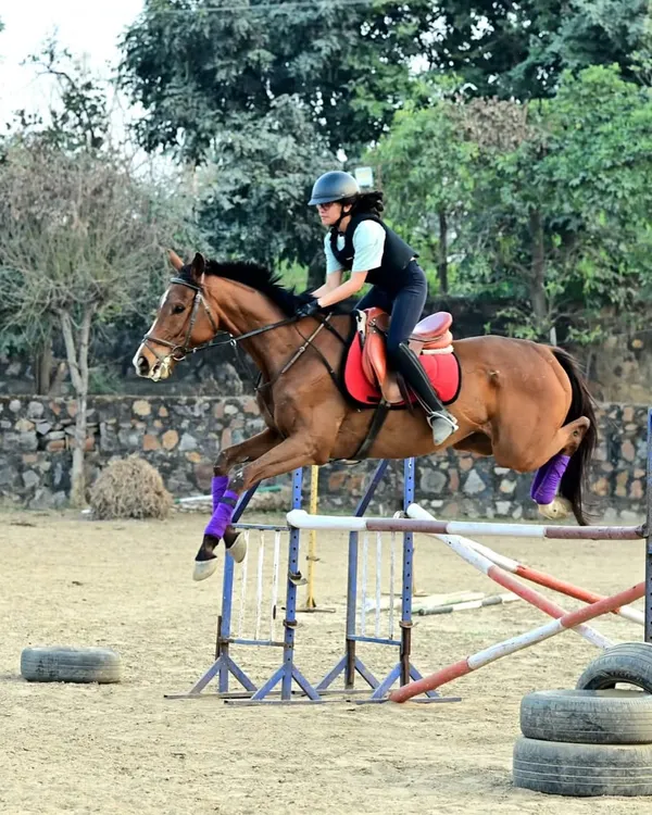 A rider and her horse in perfect sync, clearing an obstacle during a training session. I focus on building this kind of confident partnership for all my show jumping students.