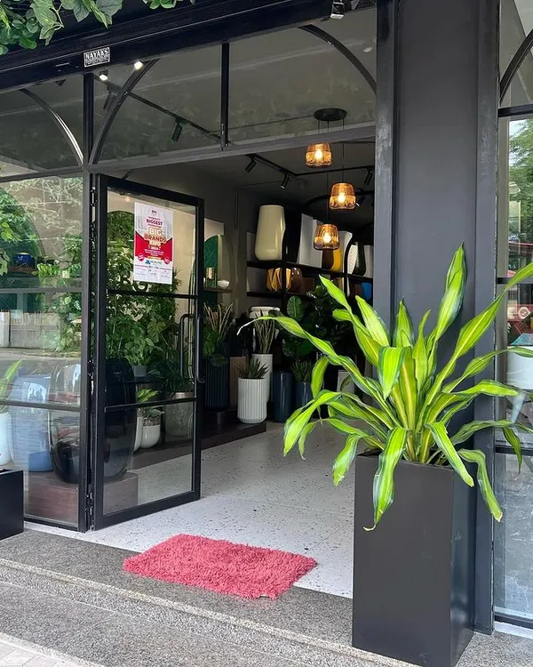 The entrance to our new store at Vertex Treo, Kadri. We have designed the space to be welcoming, with large planters like this Bird of Paradise in a black fibre pot greeting you at the door.