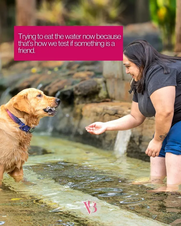 A golden retriever's first encounter with water! This shot captures the hilarious moment of curiosity and confusion as he tries to "test" if the water is a friend.