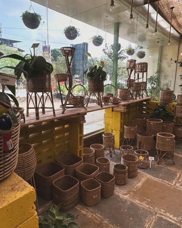 Transform your green space with our wide range of plant accessories. This collection of wicker and cane baskets adds a natural, bohemian touch to any plant.