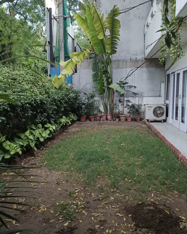 This was the starting point for a residential garden project. The lawn was patchy and uneven, in need of a complete overhaul to become a usable family space.