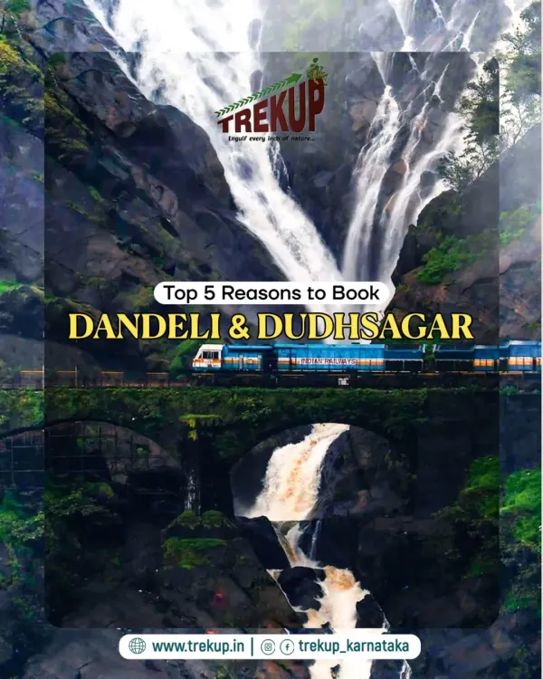 The ultimate weekend escape: a stunning view of the Dudhsagar waterfalls with the iconic train bridge passing in front of it.