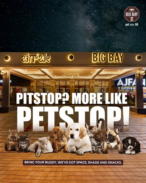 We're more than a pitstop, we're a PETSTOP. This image, featuring a group of adorable dogs and cats, announces our commitment to being a welcoming place for your furry buddies.