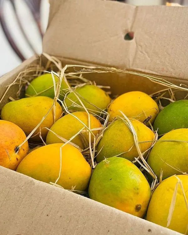 This is what pure happiness looks like. I hand-select these premium Devgad Alphonso mangoes, ensuring each box is packed with care and delivered fresh to you. The authentic taste of summer is just an order away.