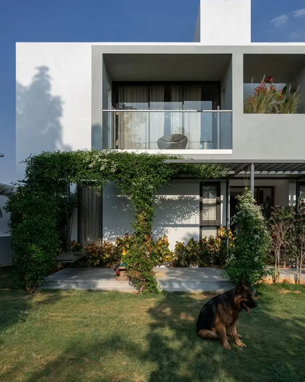 The rear facade of the SAMAM house, showing the direct connection between the living spaces and the dedicated garden area for the family's dogs. The design prioritizes easy indoor-outdoor access for both people and pets.