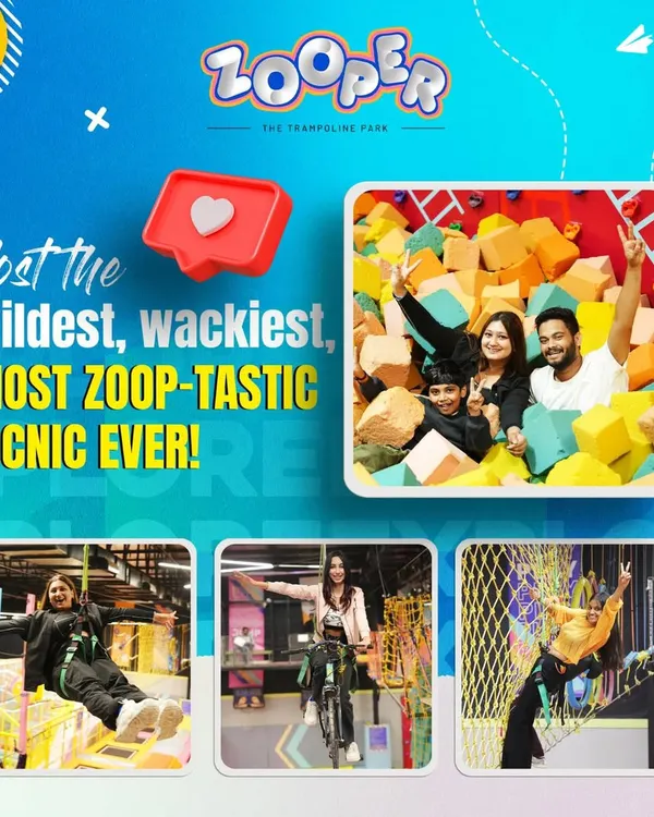 Host the wildest, wackiest, most Zoop-tastic picnic ever. Our park is the perfect venue for any group event, offering a mix of adventure and fun.