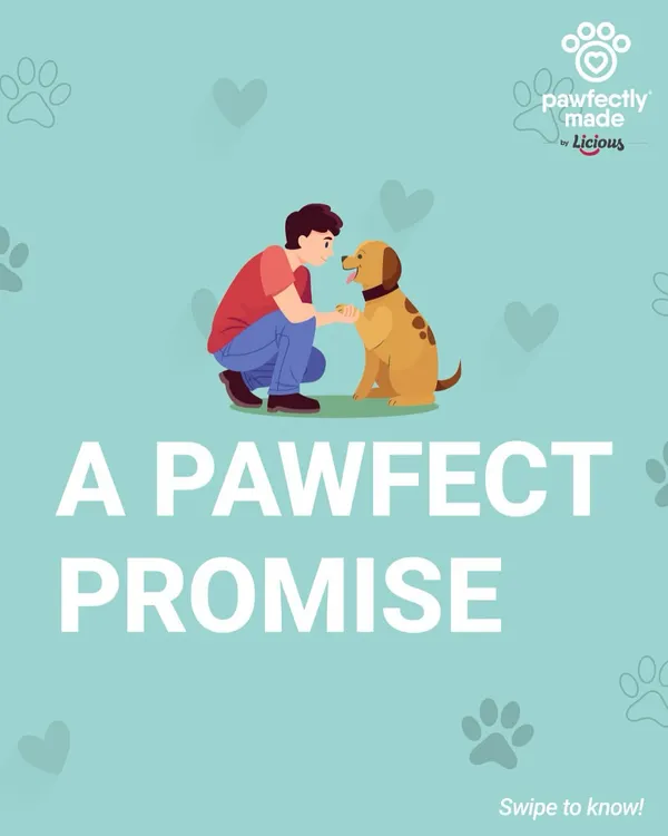 We make a pawfect promise to you and your pet. Quality, safety, and taste are at the heart of everything we do.