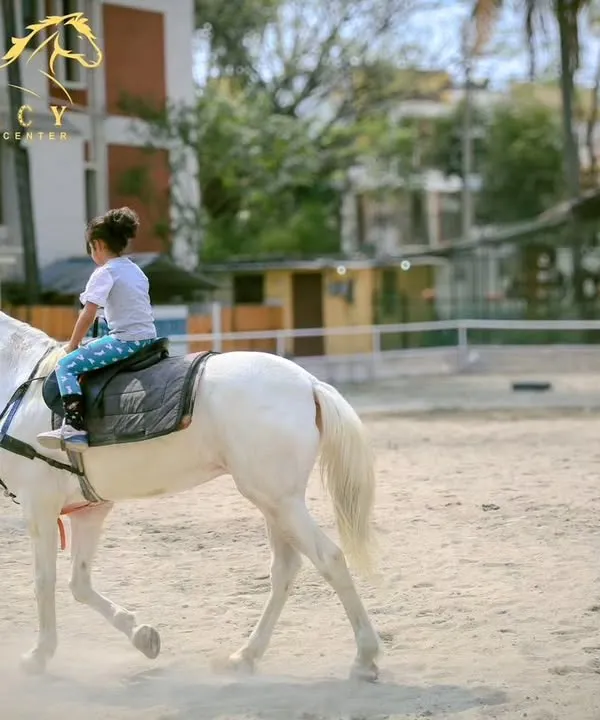 A young rider learns the basics in our arena. Our instructor is always close by to guide and ensure a safe, positive experience for every child.