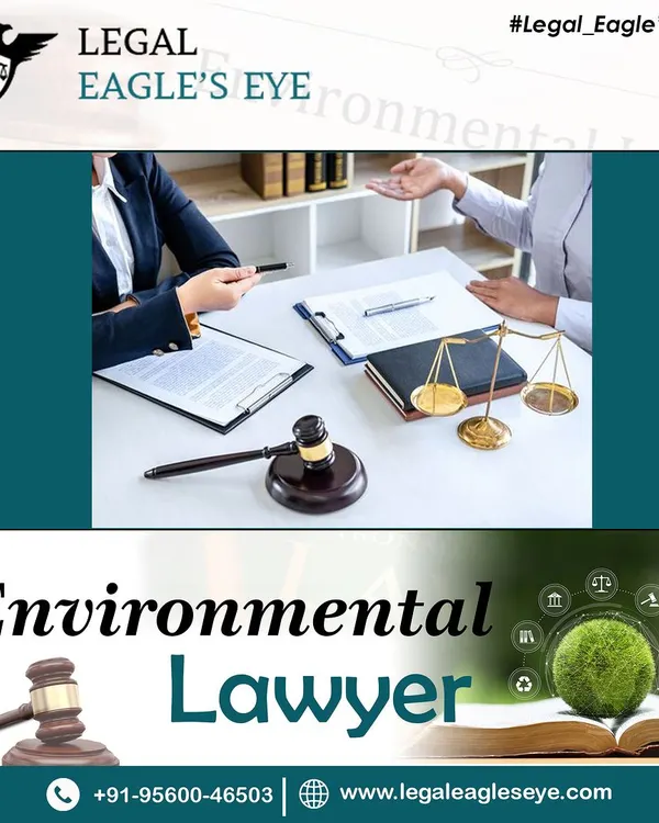 This image, featuring a discussion about environmental law, reflects our dedication to a greener future. We tackle critical issues like clean air, water conservation, and wildlife protection, providing legal support to safeguard our planet.