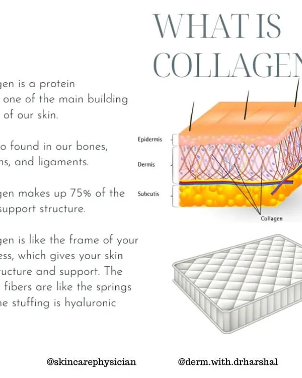Collagen is the primary building block of our skin, providing structure and support. This diagram illustrates its crucial role within the skin's layers, acting like a frame to keep it firm and youthful.