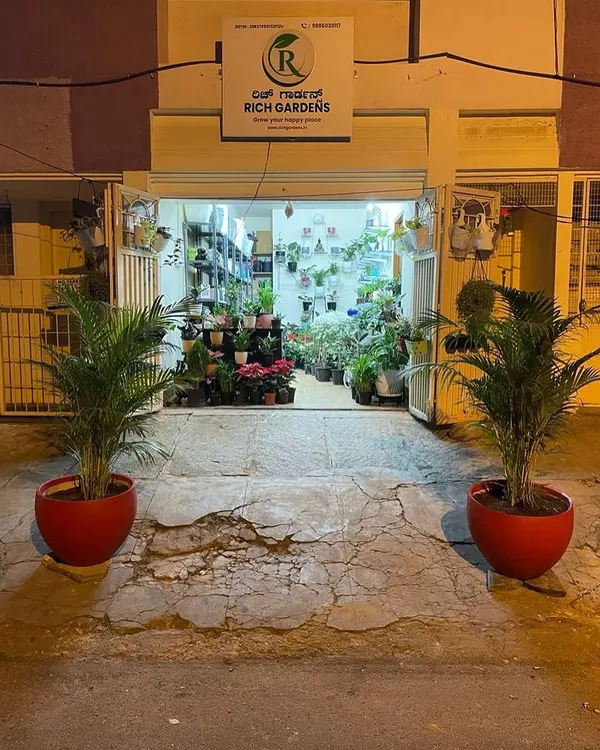 My store all lit up at night, ready to welcome you. I love how the two large palms in bright red pots stand guard at the entrance, inviting everyone into our little green world.