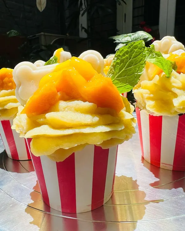 A batch of my seasonal Mango Tango pupcakes. They are topped with fresh mango chunks, a mint leaf, and a white jelly bone made from coconut.