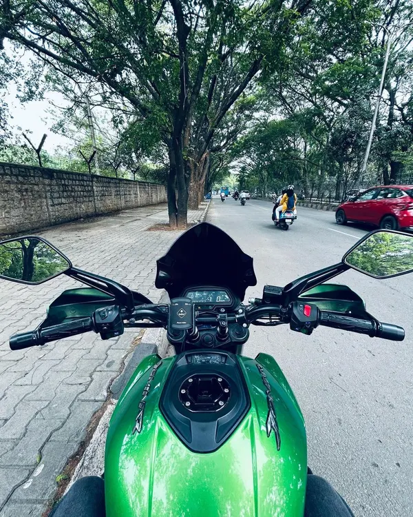 The cockpit view from a green Dominar on a tree-lined street in Bengaluru. This is the perspective from which we see our city.