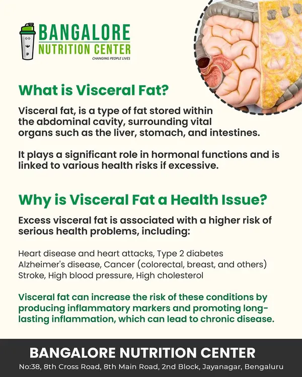 Understanding your body is the first step to changing it. This is why I educate my clients about visceral fat, the dangerous fat around your organs. My nutrition counseling focuses on creating plans to reduce it and lower associated health risks like heart disease and diabetes.