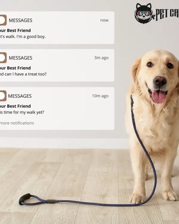 This image captures the excitement your dog feels about their walk. I offer reliable dog walking services designed to give your best friend the exercise and attention they crave, complete with GPS tracking so you always know where we are.