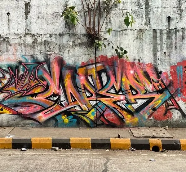 This is what I call 'rang birangi' or super colorful. A wildstyle piece on a city wall where the letters are twisted and woven together, with a tree growing right through the middle of it.