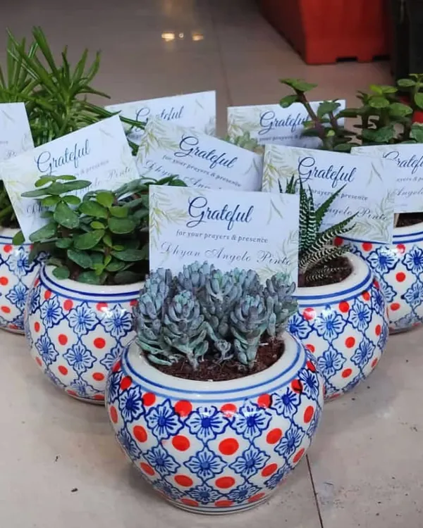 A set of our popular succulent arrangements in decorative ceramic pots. We add custom "Grateful" tags to make them the perfect personalized thank you gift for employees or clients.